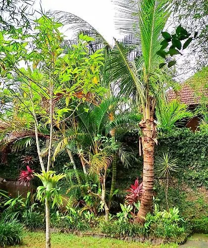 アパート Tropica House 2 Minutes From Center *