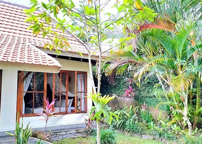 Tropica House 2 Minutes From Center アパート