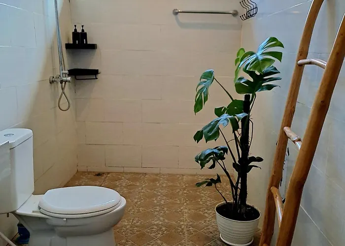 Tropica House 2 Minutes From Center アパート *