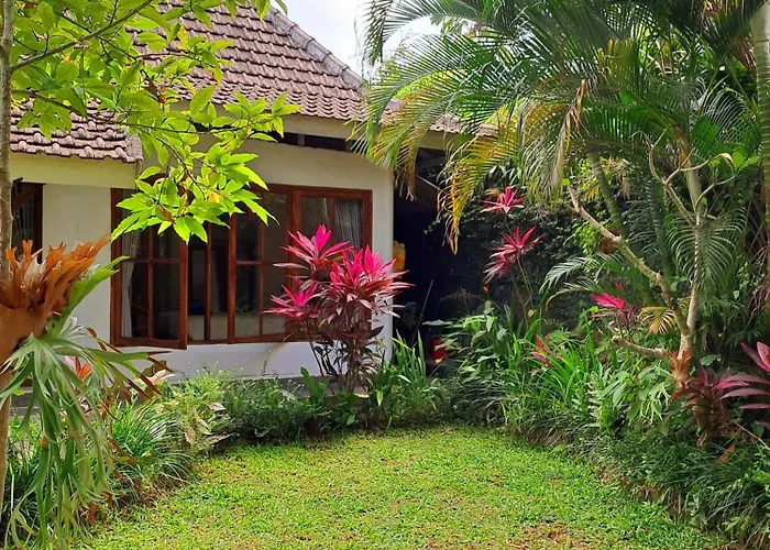 アパート Tropica House 2 Minutes From Center